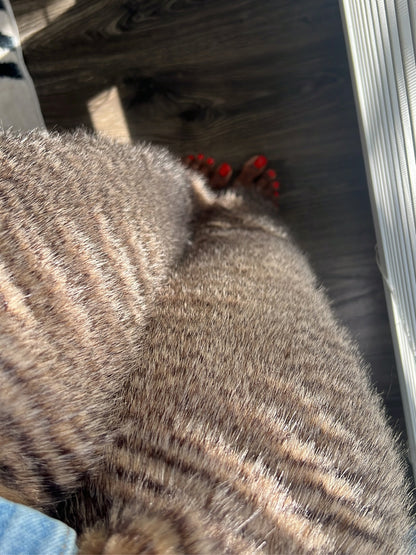 Faux Rabbit Fur Denim Patchwork Jeans